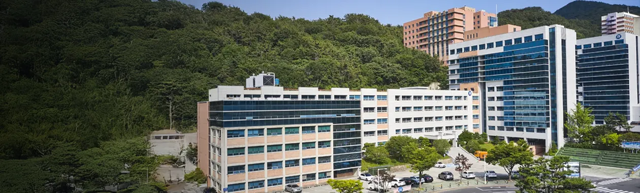 Đại học Dong-Eui