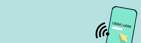 USIM / eSIM