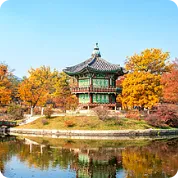 Autumn at Gyeongbokgung Palace story image