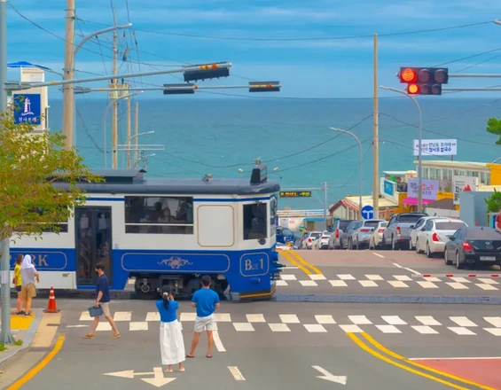 Sunset Haeundae Sky Capsule & Busan Night Views Day Tour | Busan Departure