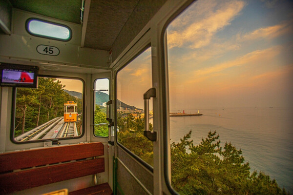 Sunset Haeundae Sky Capsule & Busan Night Views Day Tour | Busan Departure