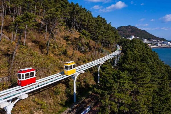 Sunset Haeundae Sky Capsule & Busan Night Views Day Tour | Busan Departure