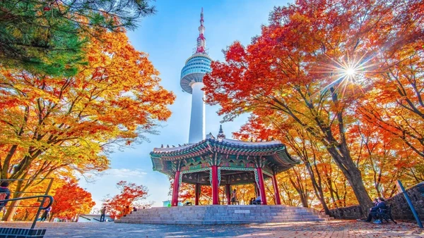 N Seoul Tower – Panoramic Views & Seoul’s Iconic Love Locks - Seoul Hoạt động nên trải nghiệm