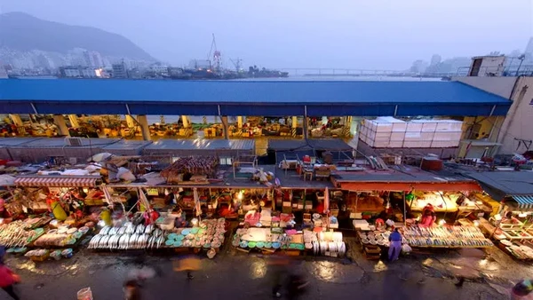 Jagalchi Fish Market – Korea’s Largest Seafood Market