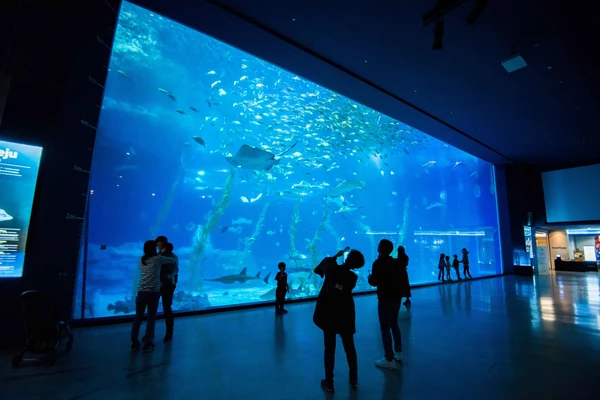 Jeju Island 3-Day Tour for Travelers – Departing from Seoul