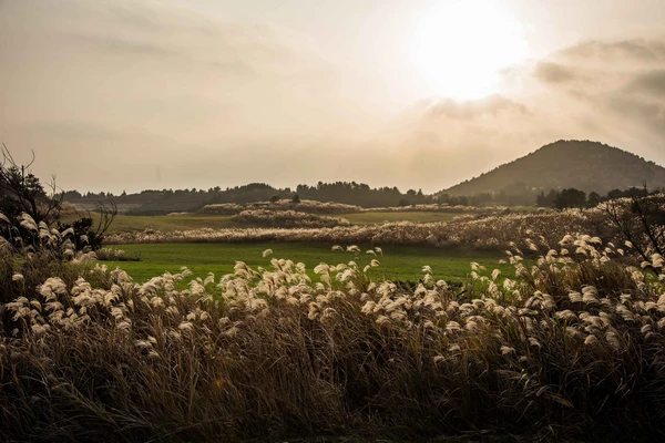 Jeju Island 3-Day Tour for Travelers – Departing from Seoul