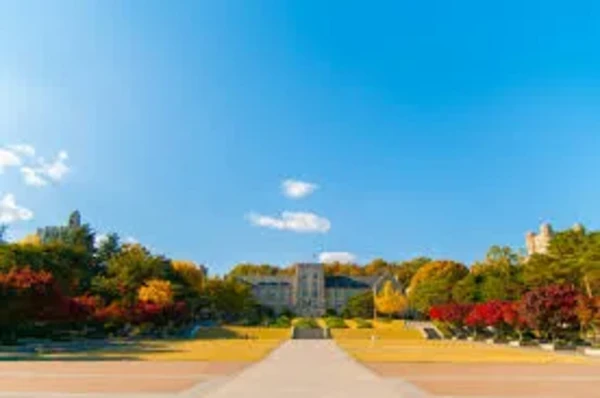 Korea University