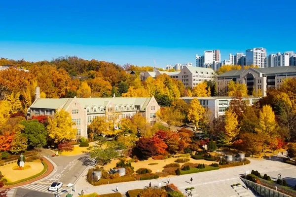 Hankuk University of Foreign Studies