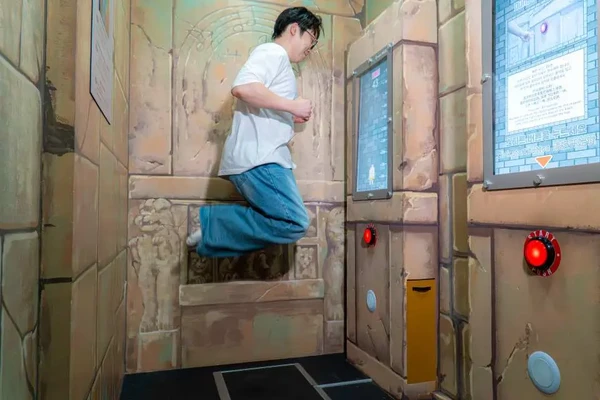 Dynamic Maze Admission Ticket