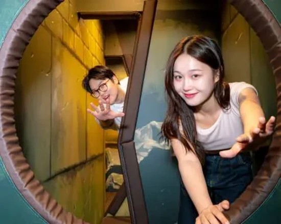 Dynamic Maze Admission Ticket