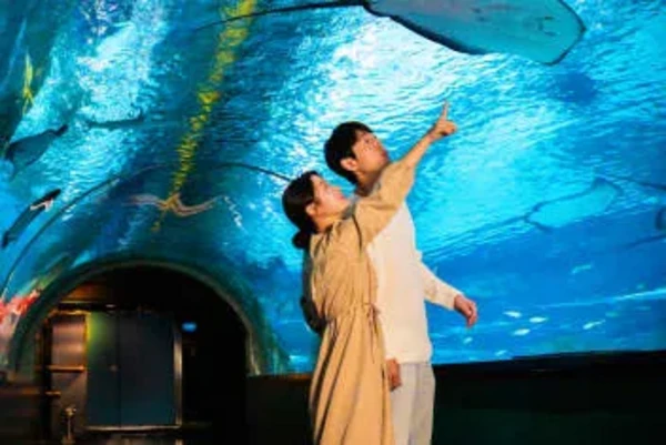 SEA LIFE COEX, Seoul Aquarium Official Tickets - Best Pick 3
