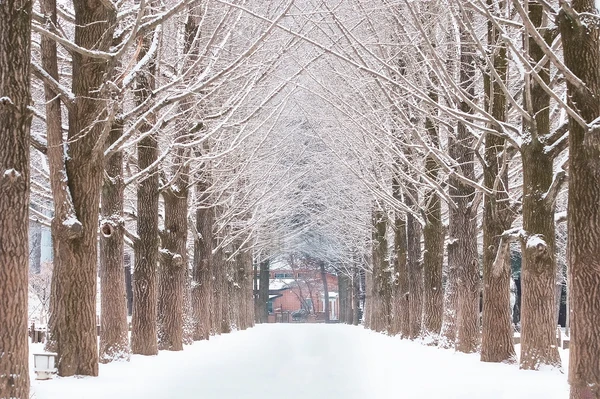 Áp dụng cho 2 hoặc 4 người | Đến buổi sáng | Chăm sóc da K-Beauty + Tour Nami Island trong ngày & thời gian thư giãn tại Seoul (4 đêm / 5 ngày)