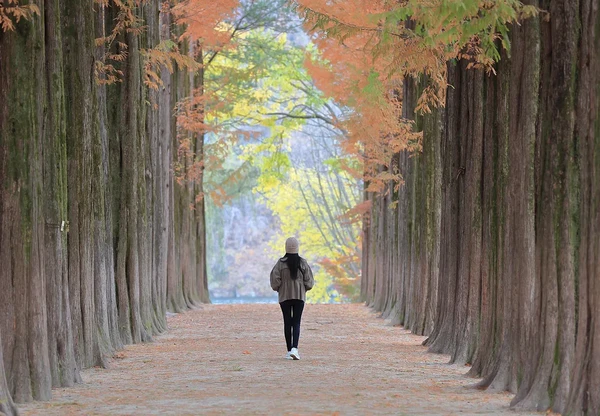 Áp dụng cho 2 hoặc 4 người | Đến buổi sáng | Chăm sóc da K-Beauty + Tour Nami Island trong ngày & thời gian thư giãn tại Seoul (4 đêm / 5 ngày)