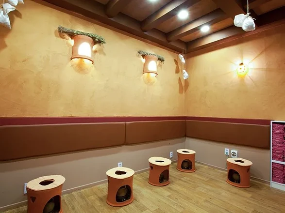 Asuca | Myeongdong Spa - Best Pick 2