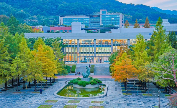 2503_도서관 야경_01.jpg