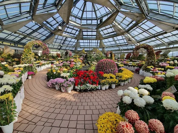 The Garden of Morning Calm