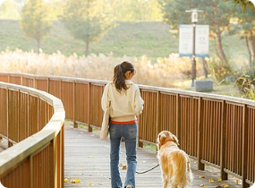 [Creatrip Only] 2025 Changdeokgung Moonlight Tour | Foreigners Only