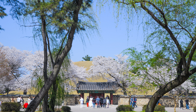 Gyeongsang Province 3-Day Tour (Gyeongju · Busan)