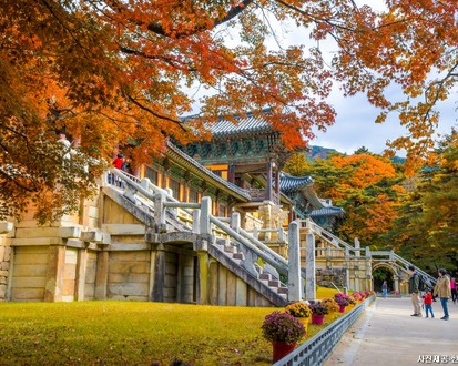 Gyeongsang Province 3-Day Tour (Busan · Geoje · Gyeongju)