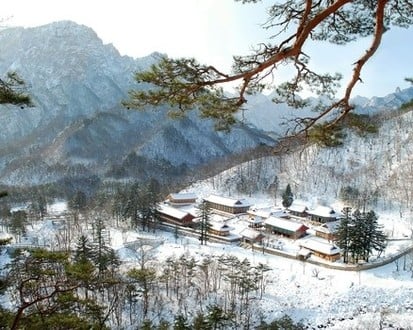 Gangwon-do 2-Day Tour (Inje · Sokcho · Wondae-ri Birch Forest · Seoraksan) – Seoul Departure