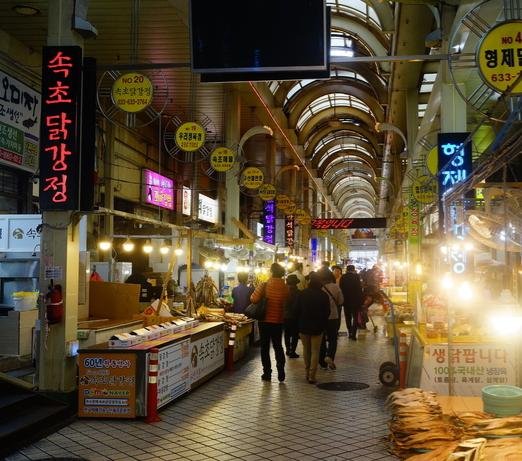 Gangwon-do 2-Day Tour (Inje · Sokcho · Wondae-ri Birch Forest · Seoraksan) – Seoul Departure