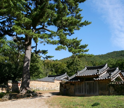 Jeollanam-do 3-Day Tour (Jeongeup · Haenam · Gangjin · Damyang) – Departing from Seoul