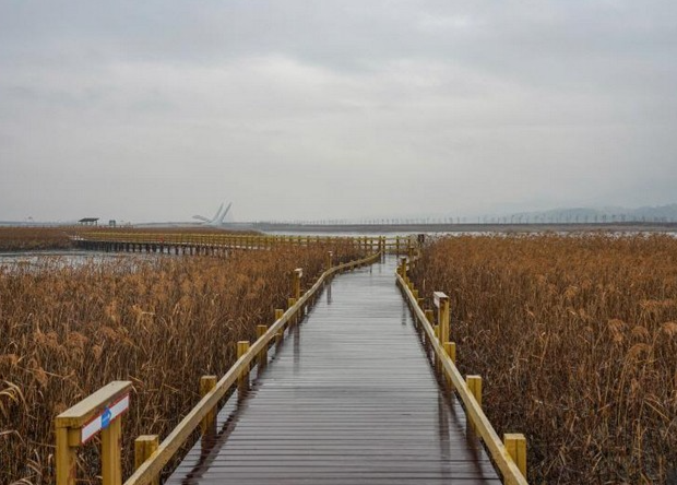 Jeollanam-do 3-Day Tour (Jeongeup · Haenam · Gangjin · Damyang) – Departing from Seoul