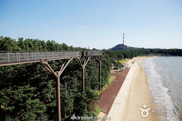 Traveling to Korea for Foreigners - 3 Days and 2 Nights on the West Coast (Mokpo, Haenam, Gochang)