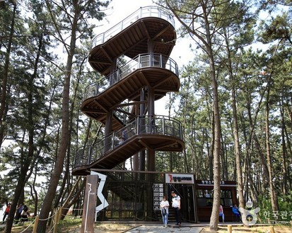 Traveling to Korea for Foreigners - 3 Days and 2 Nights on the West Coast (Mokpo, Haenam, Gochang)