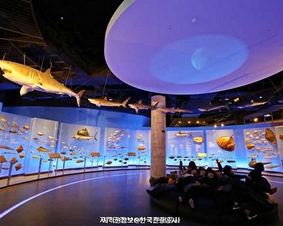 Traveling to Korea for Foreigners - 3 Days and 2 Nights on the West Coast (Mokpo, Haenam, Gochang)