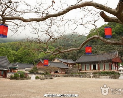 Traveling to Korea for Foreigners - 3 Days and 2 Nights on the West Coast (Mokpo, Haenam, Gochang)