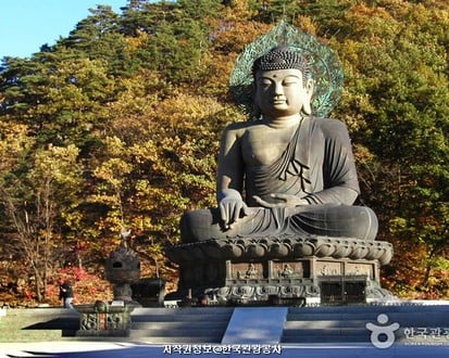Gangwon-do 2-Day Tour (Inje · Sokcho · Wondae-ri Birch Forest · Seoraksan) – Seoul Departure