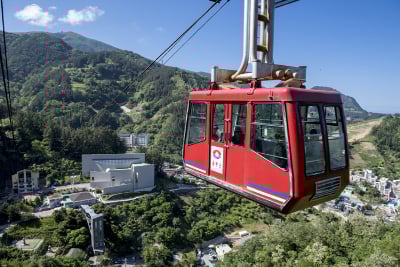 [Pohang Yeongil Bay Port/Dokdo Included] Ulleungdo 3-Day #1NightCruise #1NightOnUlleungdo #HotelQuality #OverlandTour (Course A) #Yelimwon