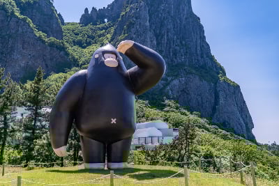 [Pohang Yeongil Bay Port/Dokdo Included] Ulleungdo 3-Day #1NightCruise #1NightOnUlleungdo #HotelQuality #OverlandTour (Course A) #Yelimwon