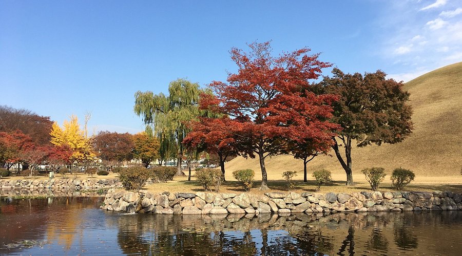 Gyeongsang Province 3-Day Tour (Gyeongju · Busan)