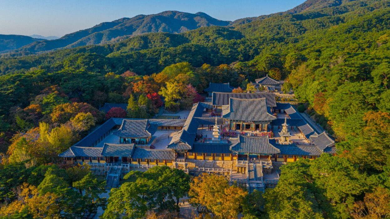 Gyeongsang Province 3-Day Tour (Busan · Geoje · Gyeongju)