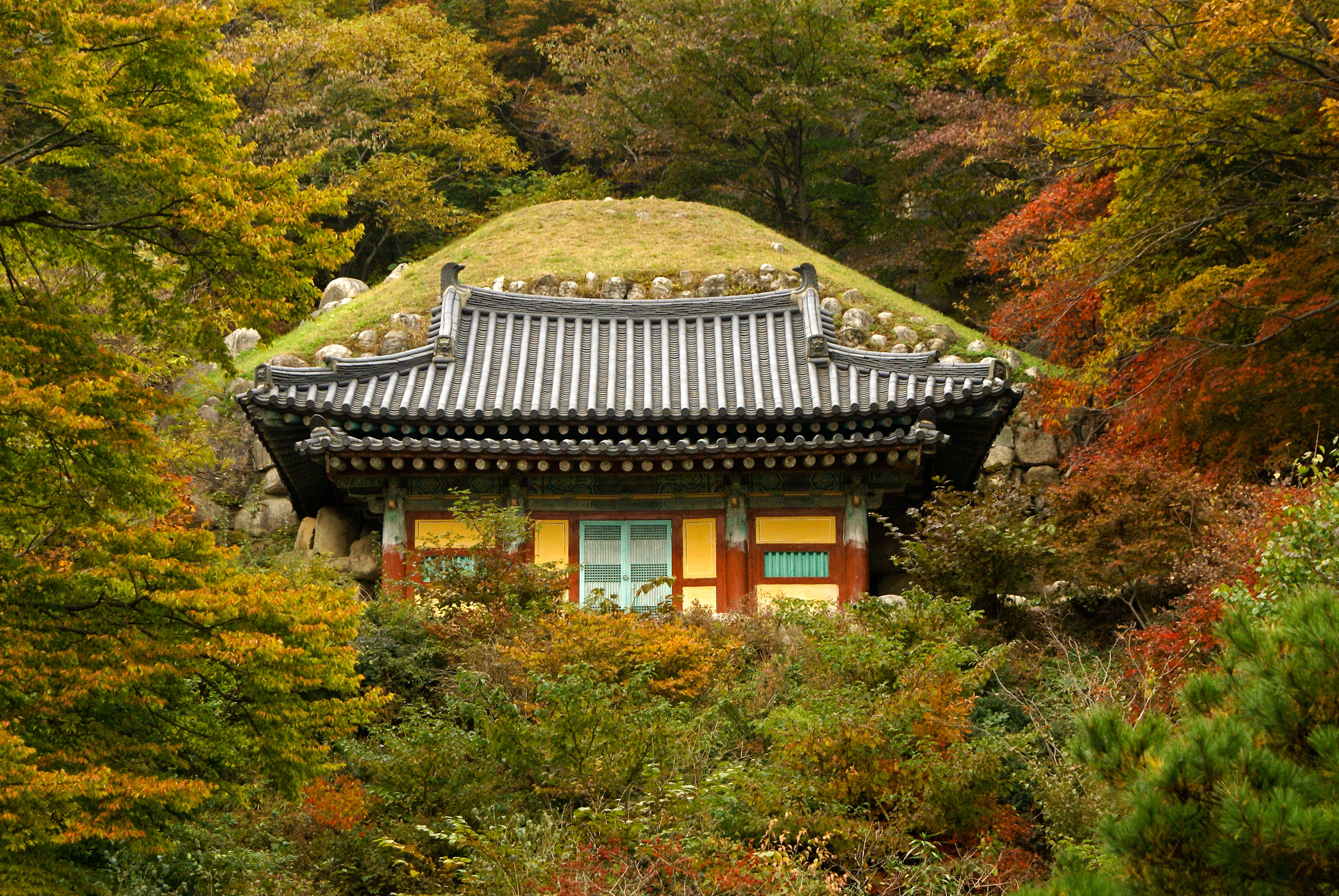 Gyeongsang Province 3-Day Tour (Busan · Geoje · Gyeongju)