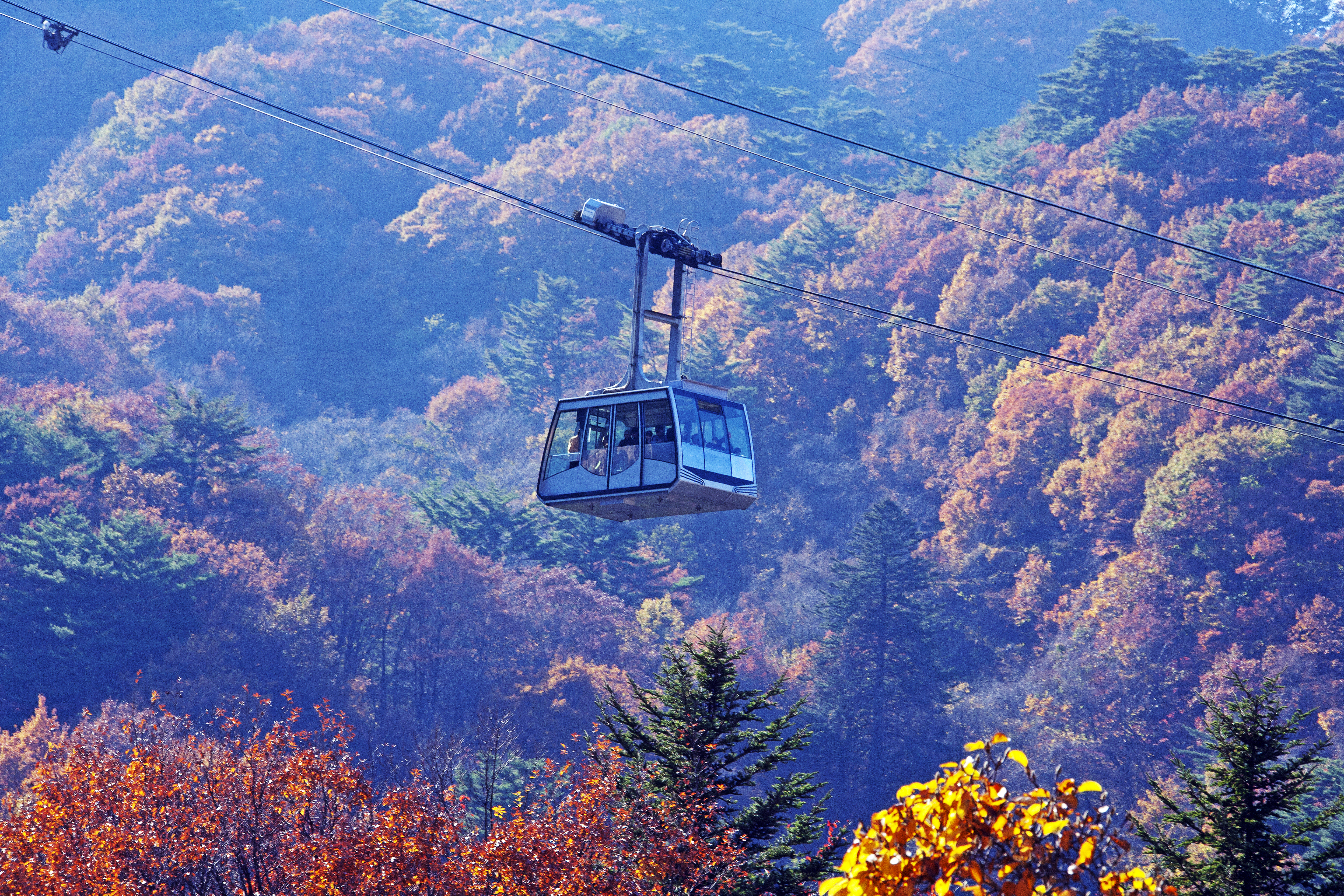 Gangwon-do Eastern Region 3-Day Tour (Gangneung · Sokcho · Samcheok) – Departing from Seoul