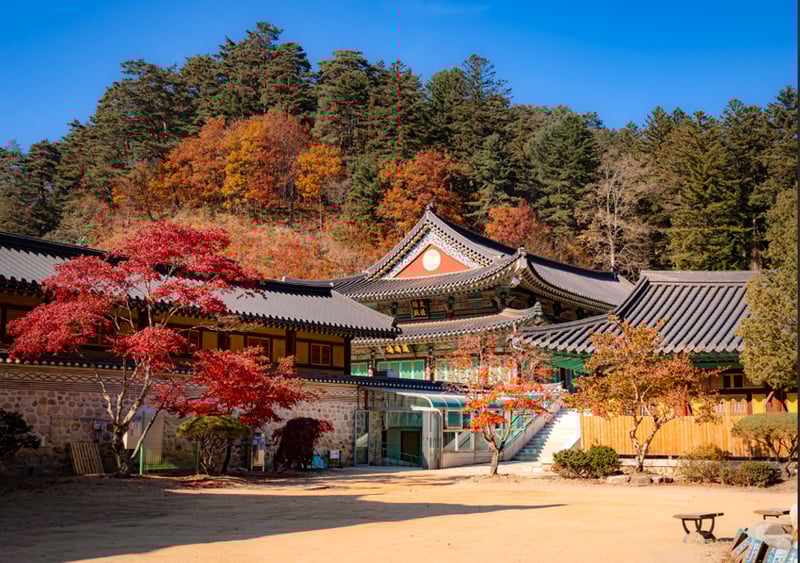 Gangwon-do Eastern Region 3-Day Tour (Gangneung · Sokcho · Samcheok) – Departing from Seoul