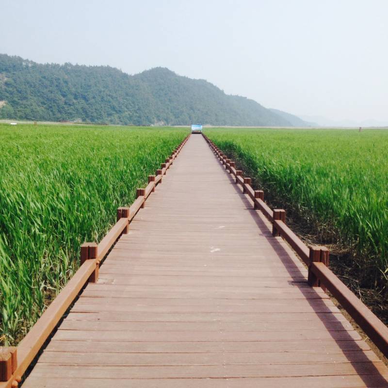 Jeollanam-do 3-Day Tour (Jeongeup · Haenam · Gangjin · Damyang) – Departing from Seoul