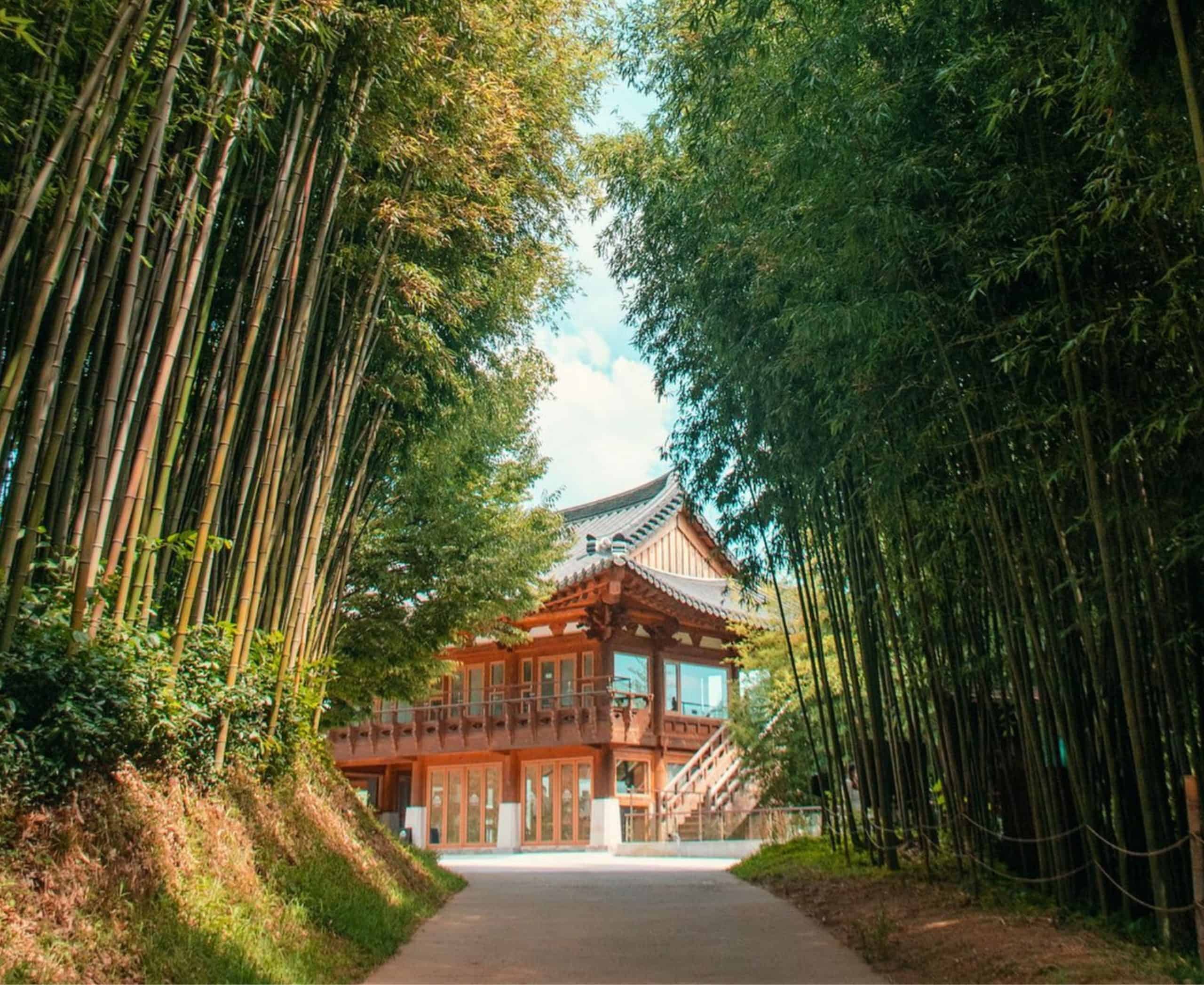 Jeollanam-do 3-Day Tour (Jeongeup · Haenam · Gangjin · Damyang) – Departing from Seoul