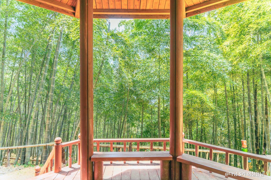 Gyeongsang Province 3-Day Tour (Tongyeong · Geoje) – Departing from Seoul