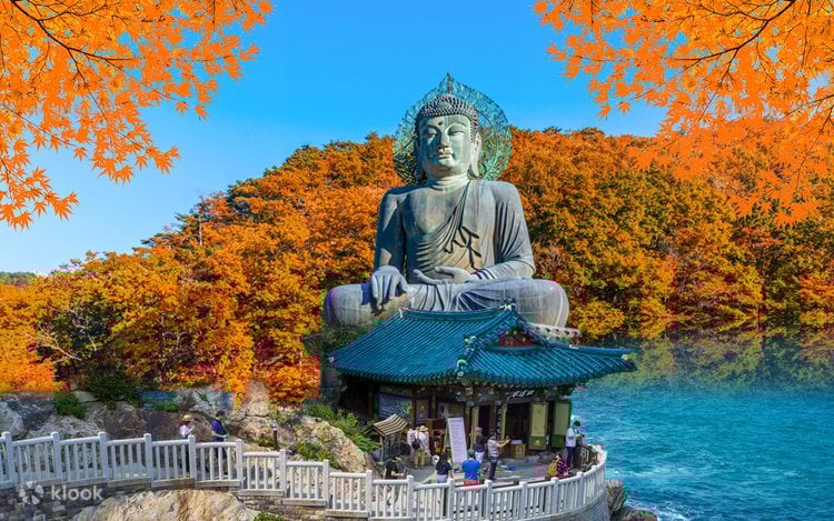 Korea Influencer 5D4N Tour – Seoul Folk Village & Everland · Gangwon: Nami Island & Mt. Seorak (No Shopping / No Option / No Tip)