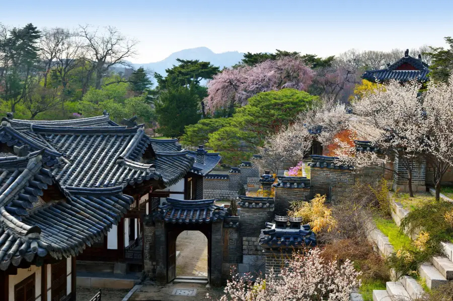 Korea Influencer 5D 4N Tour – Seoul 2 Nights & Busan 2 Nights (No Shopping / No Option / No Tip)