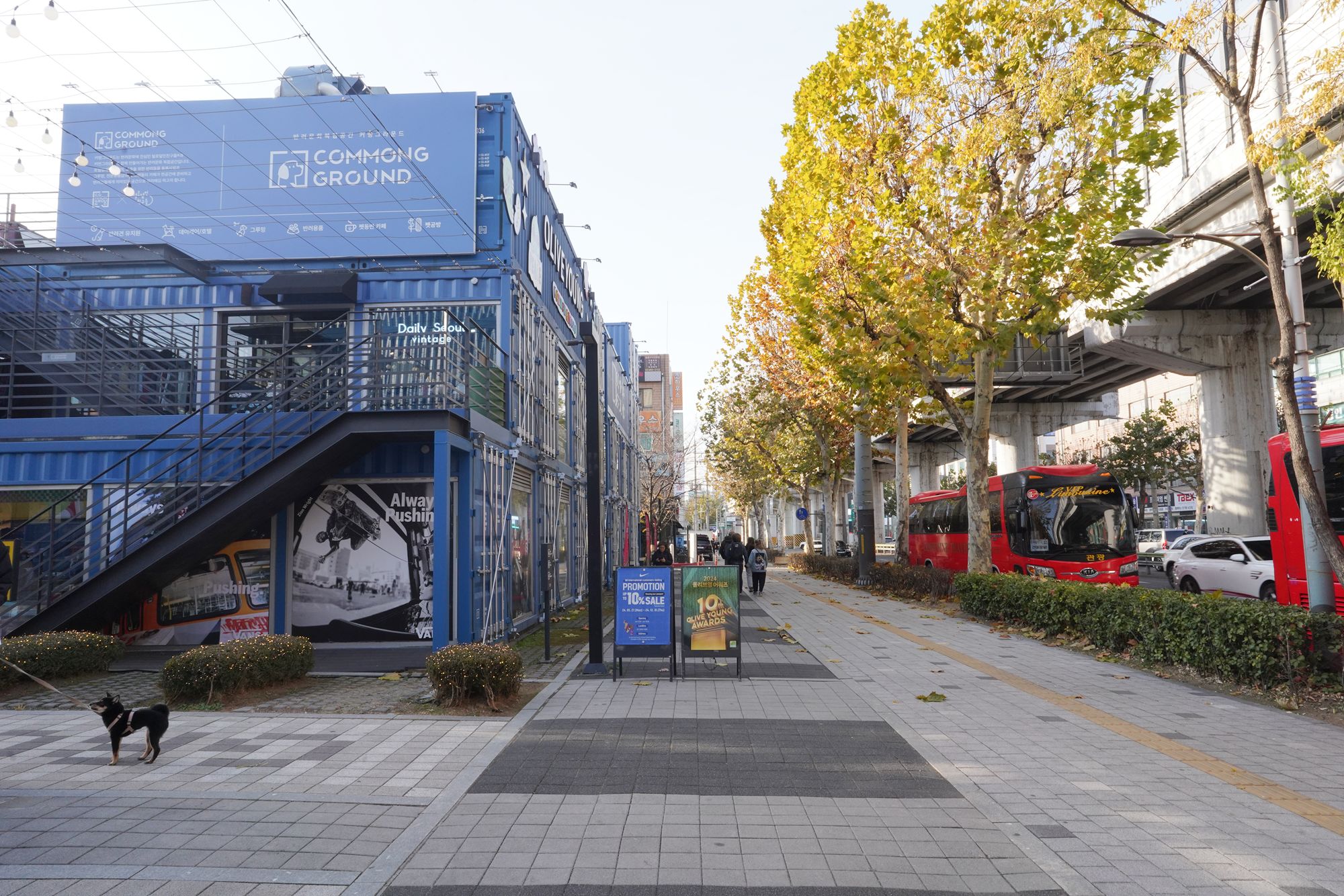 Korea Influencer 5D 4N Tour – Seoul 2 Nights & Busan 2 Nights (No Shopping / No Option / No Tip)