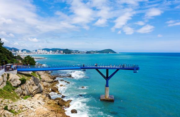 Korea Influencer 5D 4N Tour – Seoul 2 Nights & Busan 2 Nights (No Shopping / No Option / No Tip)