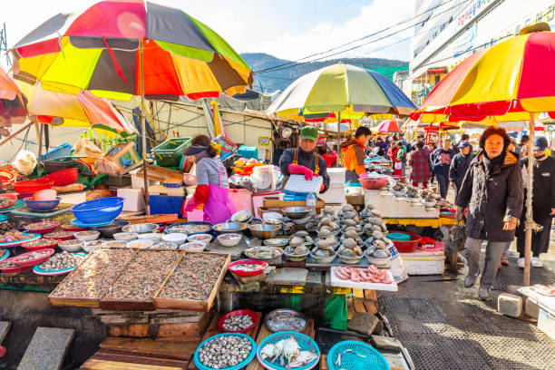 Korea Influencer 5D 4N Tour – Seoul 2 Nights & Busan 2 Nights (No Shopping / No Option / No Tip)