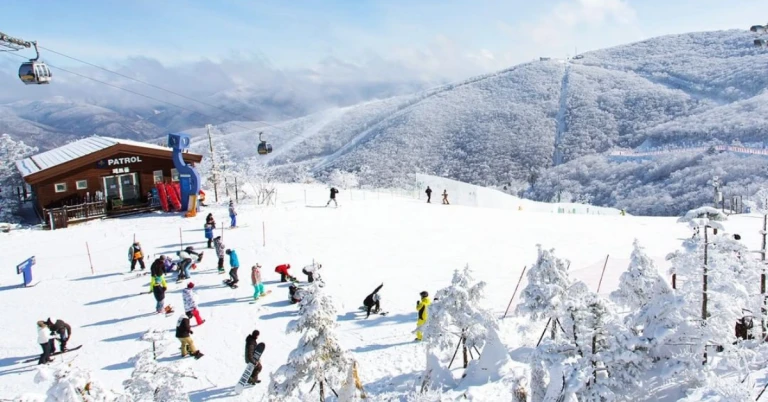 Korea Influencer 4D 3N Tour – Seoul 2 Nights & Nami Island + Ski Resort 1 Night (Ski Lesson & Rental Included) (No Shopping / No Option / No Tip)
