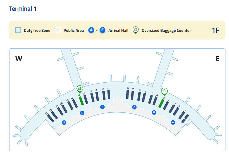 Korea Influencer 5D4N Tour – Seoul 3 Nights & Nami Island + Ski Resort 1 Night (Ski Lesson & Rental Included) (No Shopping / No Option / No Tip)
