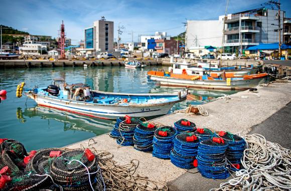 Busan Seven Bridges Day TourㅣBusan Departure